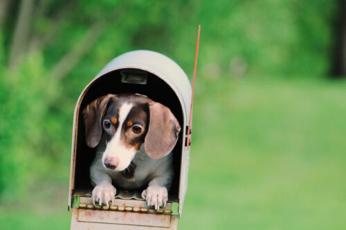 Donor Science explained: what is ReMail™
